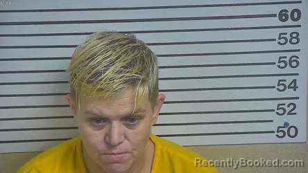 Mugshot of AMANDA DANIELLE WILLIAMS booked in Forrest County, Mississippi on March 26, 2026