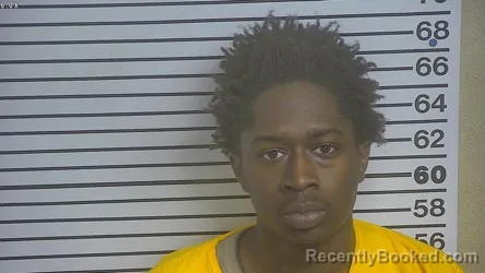 Mugshot of Bryan Dae'Shawn Brown