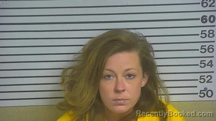 Mugshot of CONNIE BRESHEARS