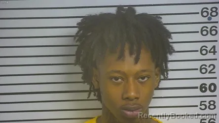 Mugshot of Christos L Hollingsworth