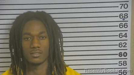 Mugshot of DEVIN PALMER