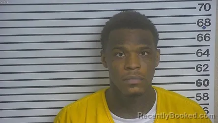 Mugshot of David Richardson booked in Forrest County, Mississippi on September 11, 2026