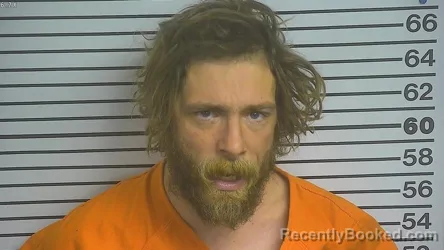 Mugshot of DEREK THOMAS WOODS