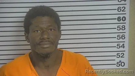 Mugshot of Dewayne Michael Young