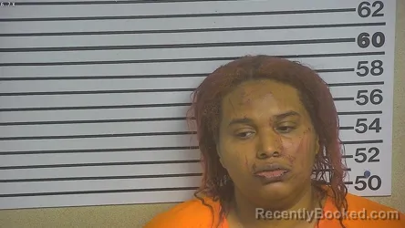 Mugshot of MEGAN MCBRIDE