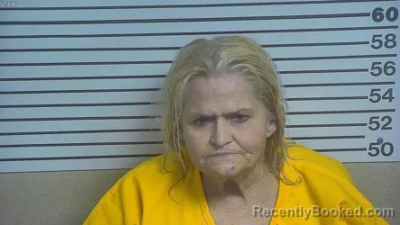 Mugshot of MARY ELAINE MCLAIN