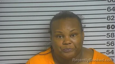 Mugshot of Nancy N Evans