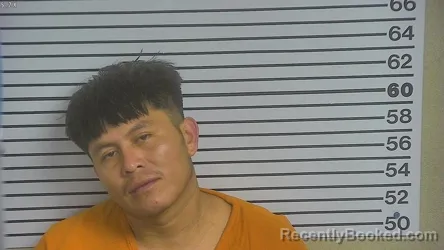 Mugshot of NIGUER ADONIAS SALES-DOMINGO booked in Forrest County, Mississippi on August 3, 2026