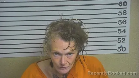 Mugshot of Sheila Hodge booked in Forrest County, Mississippi on April 24, 2026