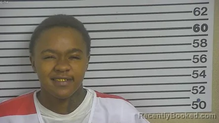 Mugshot of SHALYN MICHELLE MCROY