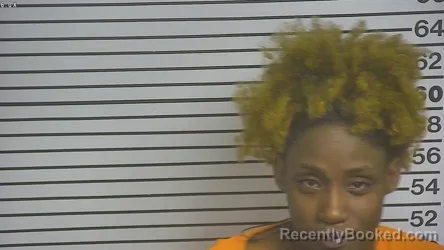 Mugshot of STACEY SALENA VIRGIL