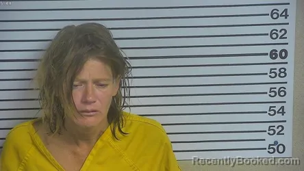Mugshot of Tiffany Diane Herring booked in Forrest County, Mississippi on August 29, 2026