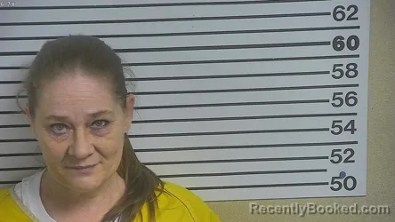 Mugshot of TRACY MAY HOCKADAY