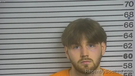 Mugshot of TYLER RAMADEI booked in Forrest County, Mississippi on May 5, 2026