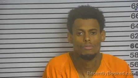 Mugshot of TAVELL CAPRICE WHITFIELD booked in Forrest County, Mississippi on May 21, 2026