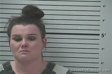 Mugshot of SHELBY NICOLE HAYES
