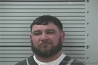 Mugshot of DILLON SHANE LADNER