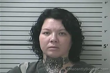 Mugshot of HEATHER KRISTINE COLLINS
