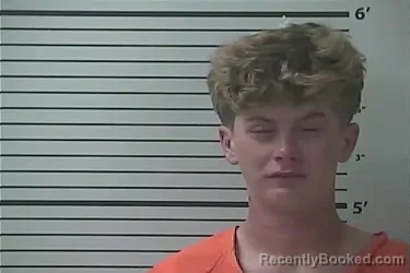 Mugshot of LANDEN RAVEN CROWE