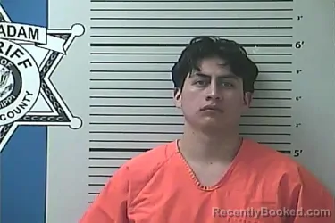 Mugshot of RONALDO RAMIREZ ESTRADA