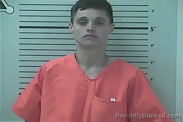 Mugshot of HALEY MICHELLE GUILL booked in Hancock County, Mississippi on April 2, 2026