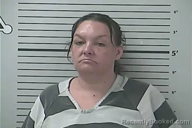 Mugshot of SHELI MARIE SISK booked in Hancock County, Mississippi on June 29, 2026