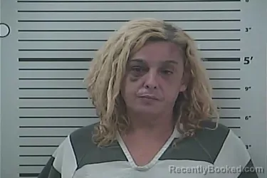 Mugshot of VIRGINIA ANN MCDONALD booked in Hancock County, Mississippi on July 29, 2026