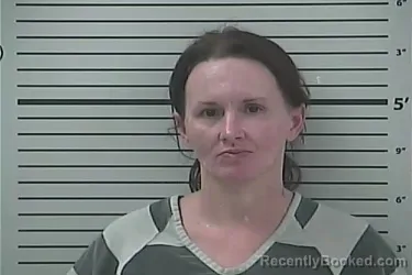 Mugshot of Theresa Elizabeth Geiyer booked in Hancock County, Mississippi on August 19, 2026