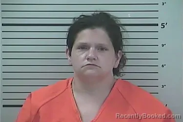 Mugshot of Janelle Ailyn Navarro booked in Hancock County, Mississippi on August 28, 2026