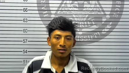 Mugshot of EDWIN AMICAR MORALES-JERONIMO booked in Harrison County, Mississippi on May 1, 2026