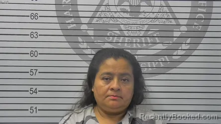 Mugshot of Norma Elvira Cerna booked in Harrison County, Mississippi on October 17, 2026