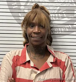 Mugshot of AYIESHA COOK BOWDRY