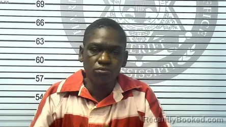 Mugshot of DAVINA LYNN YOUNG