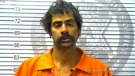 Mugshot of JAMES MICHAEL LOUDON