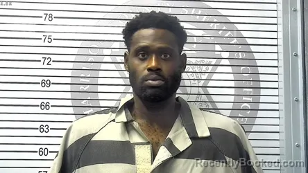Mugshot of JOHNATHAN ALEXANDER WILSON booked in Harrison County, Mississippi on March 24, 2026