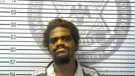 Mugshot of MICHAEL BRUCE LEWIS