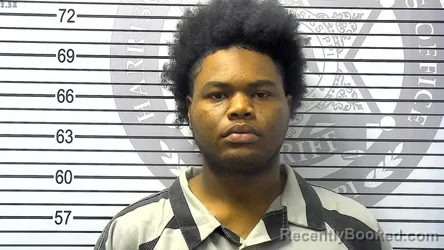 Mugshot of SARAHDRICK DELORENZO MITCHELL