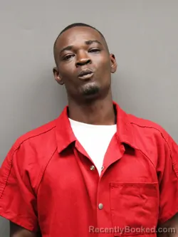 Mugshot of ROBERT LUDALE WILLIAMS