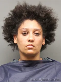 Mugshot of SHARKY DOMIQUE GIBSON