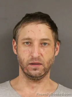 Mugshot of DAVID TODD SEGAL