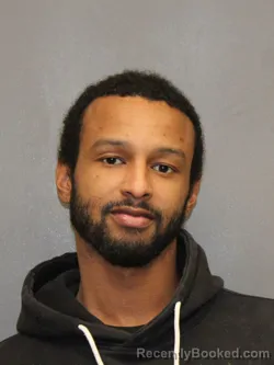 Mugshot of CARLOS RICARDO LEWIS