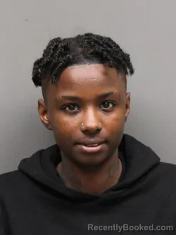 Mugshot of DEMETRIA GEORGE