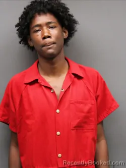 Mugshot of CAMERIOUS HUFF booked in Hinds County, Mississippi on March 22, 2026