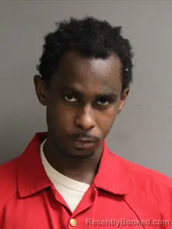 Mugshot of LINELL BROWN booked in Hinds County, Mississippi on March 24, 2026