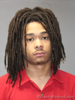 Mugshot of DEVIN JAVON HARPER