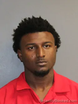 Mugshot of BRIAN JOHNSON