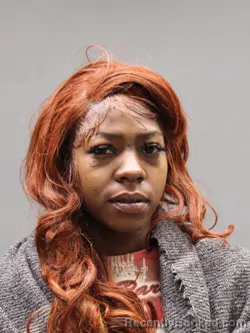 Mugshot of DESTINY MCBRIDE