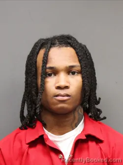 Mugshot of KAMERON NORY