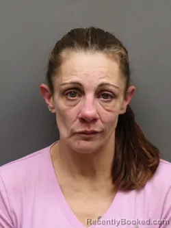 Mugshot of LORI WALKER