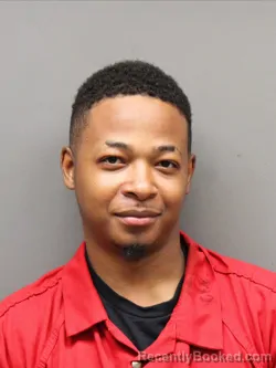 Mugshot of DEWARREN JOHNSON